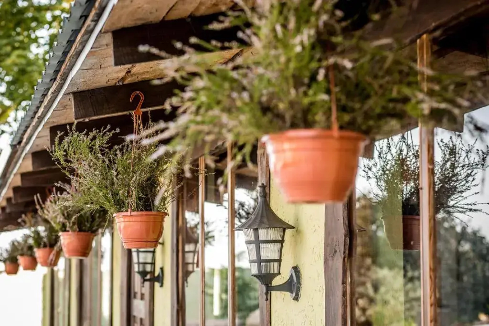 Agrousadba Belovezhskaya Gostevaya