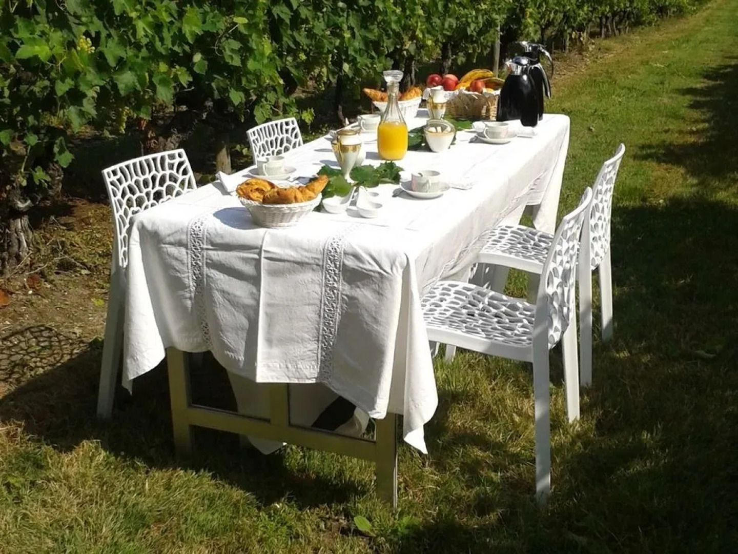 Domaine De La Grande Motte