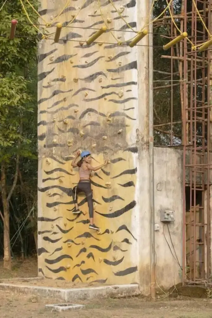 The Celebration Van Vilas Kanha