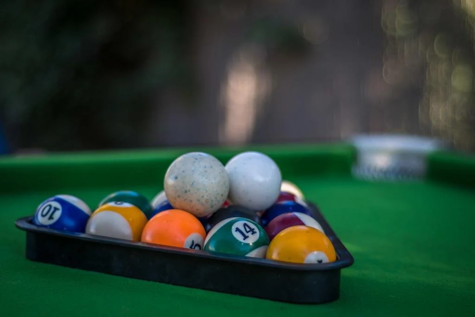 Desert Bird Guest House