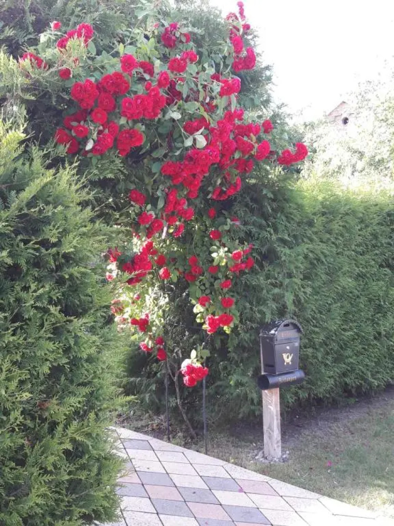 Zimmer und Apartment Rosi