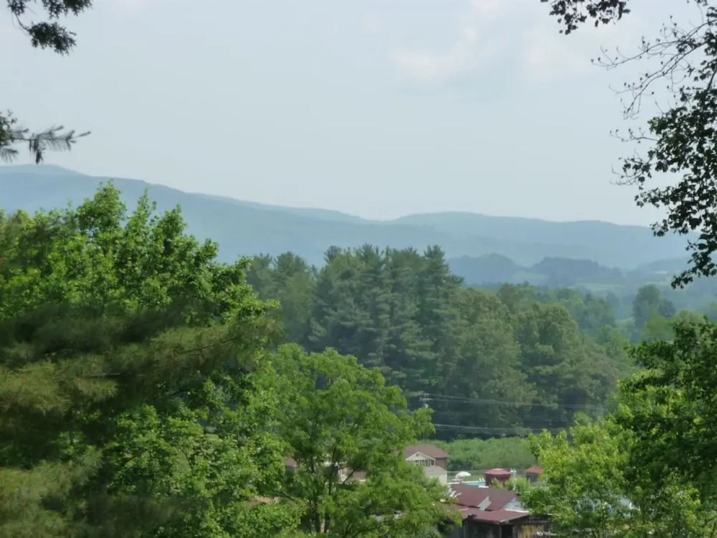 Forest Hill - 3 Br Home