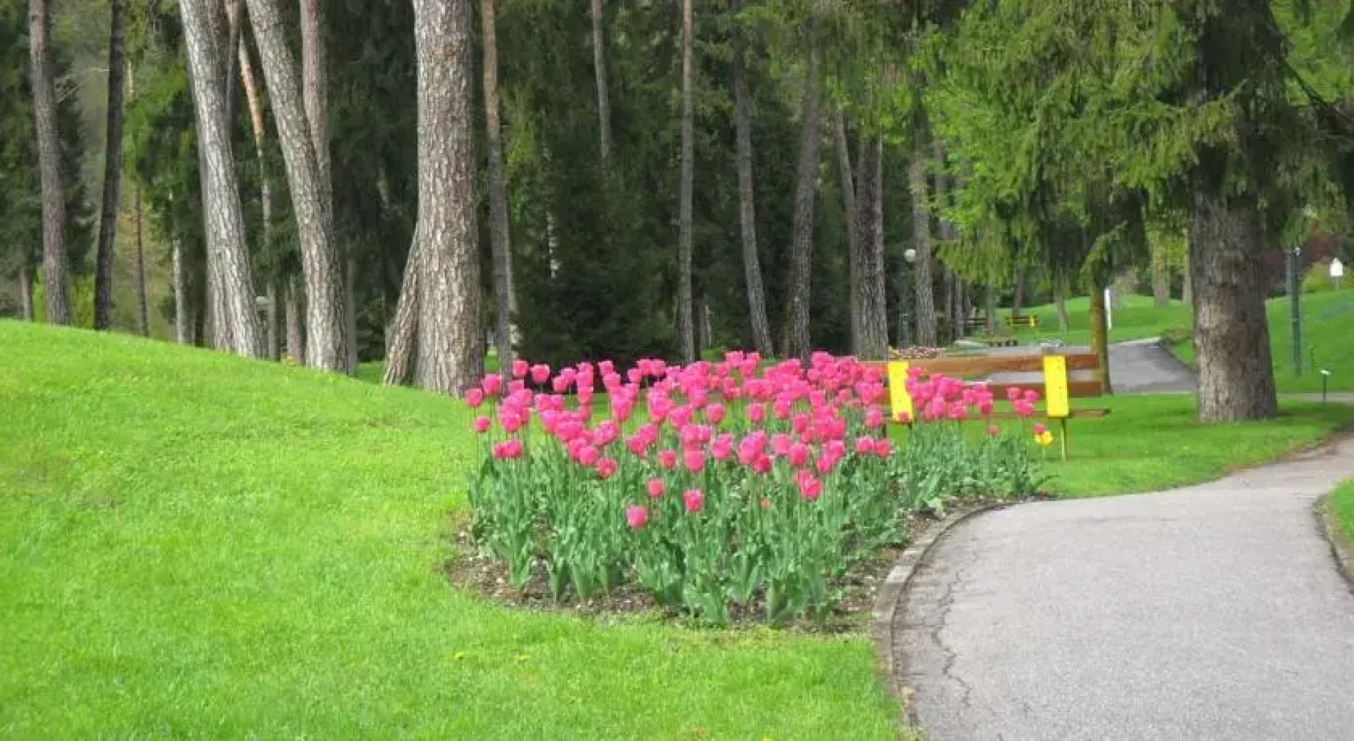 Affittacamere Il Picchio