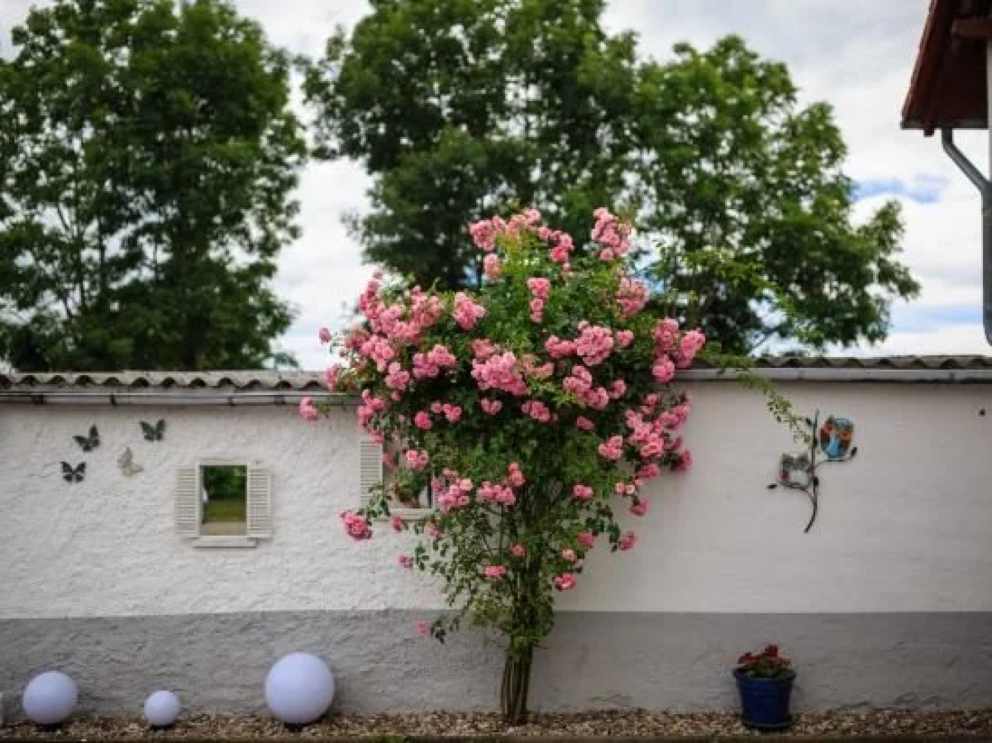 Hotel-Pension am Rosarium