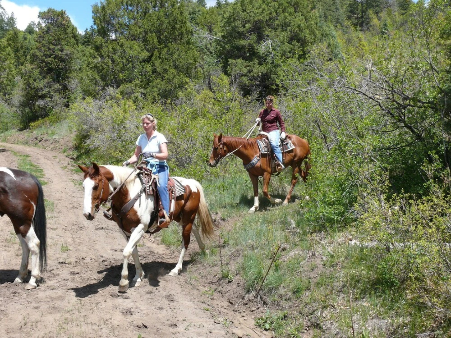 The Ranch At Autumn Woods