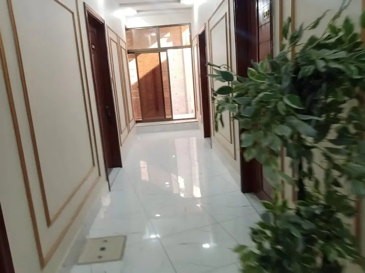 The Hotel 786