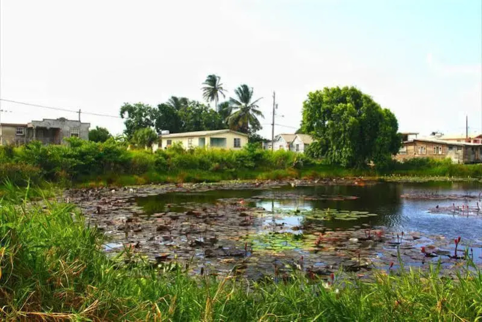 Tropical Winds Apartment Hotel
