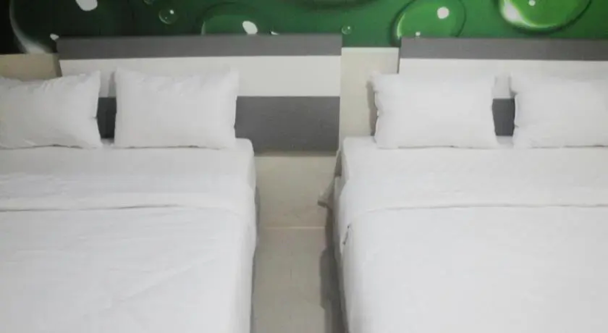 Guest House Bintang 3