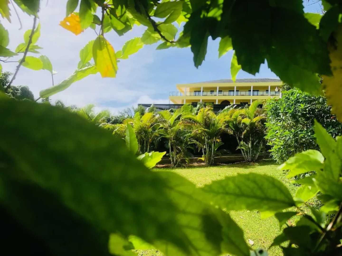 Allenview Guesthouse