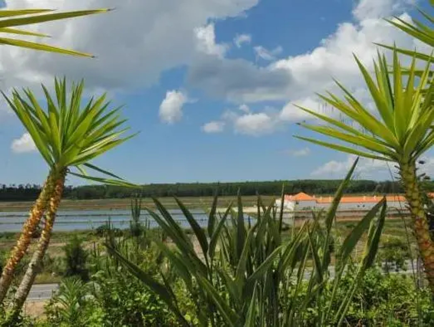 Comporta Village, Hotel Apartamento