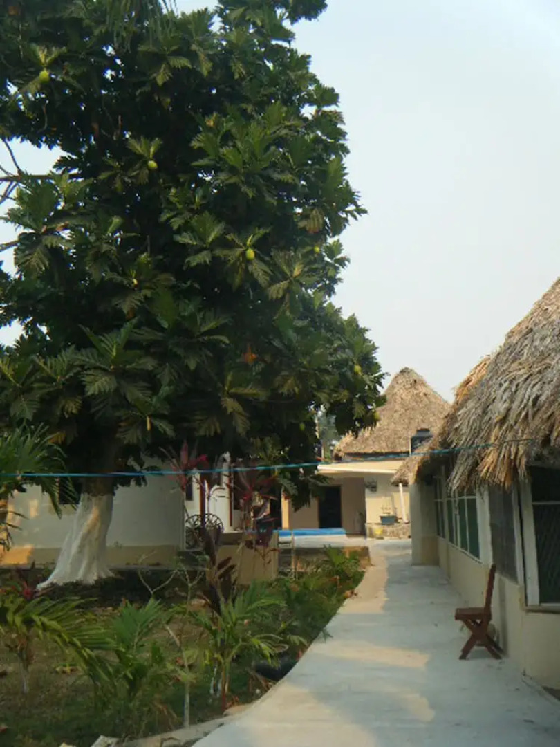 La Nueva Esperanza Bacalar