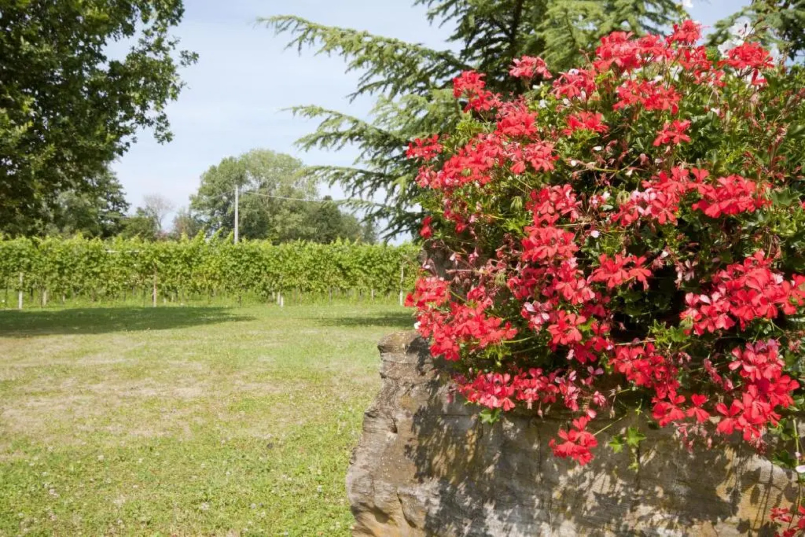 Alloggio Agrituristico CORTE SAN BIAGIO