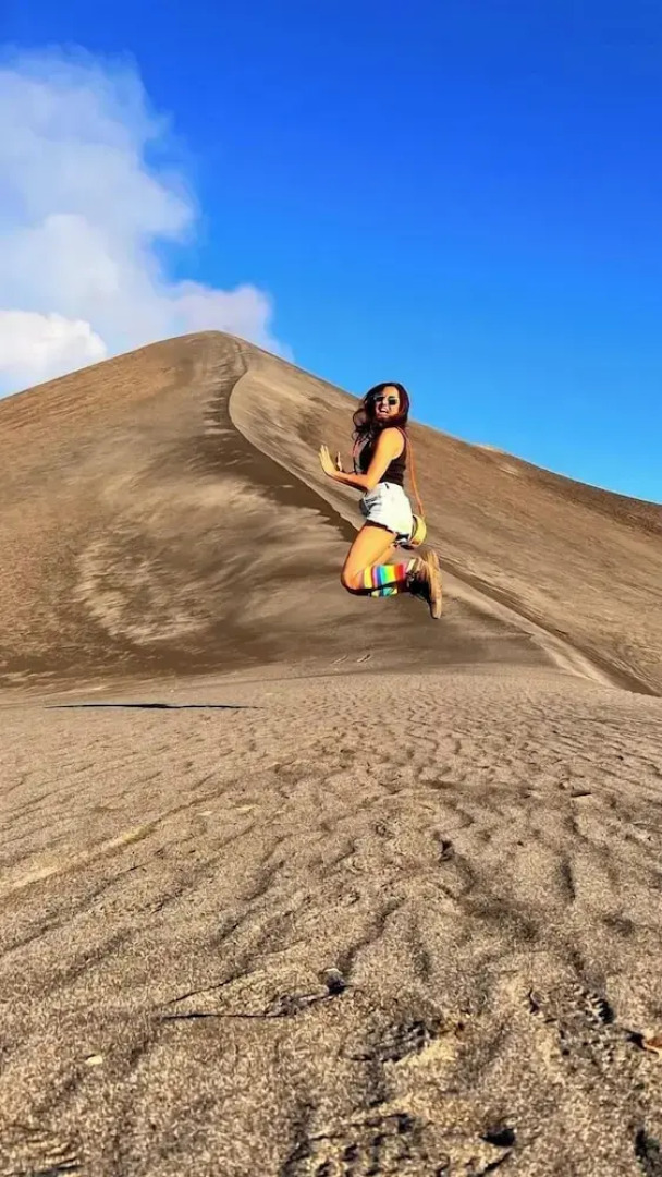 Glowing view tree house and Bangalow