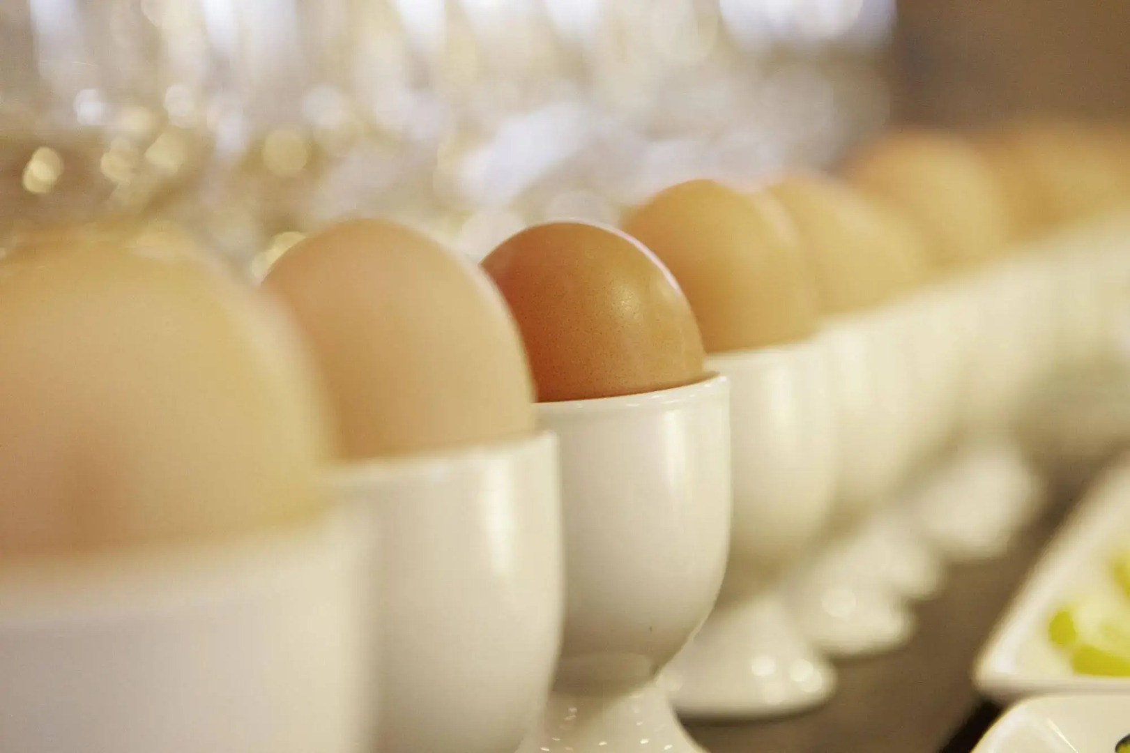 Grand Plaza Hotel & Wellness