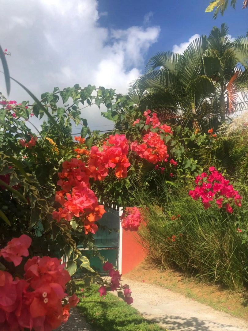Bel appartement dans écrin de verdure