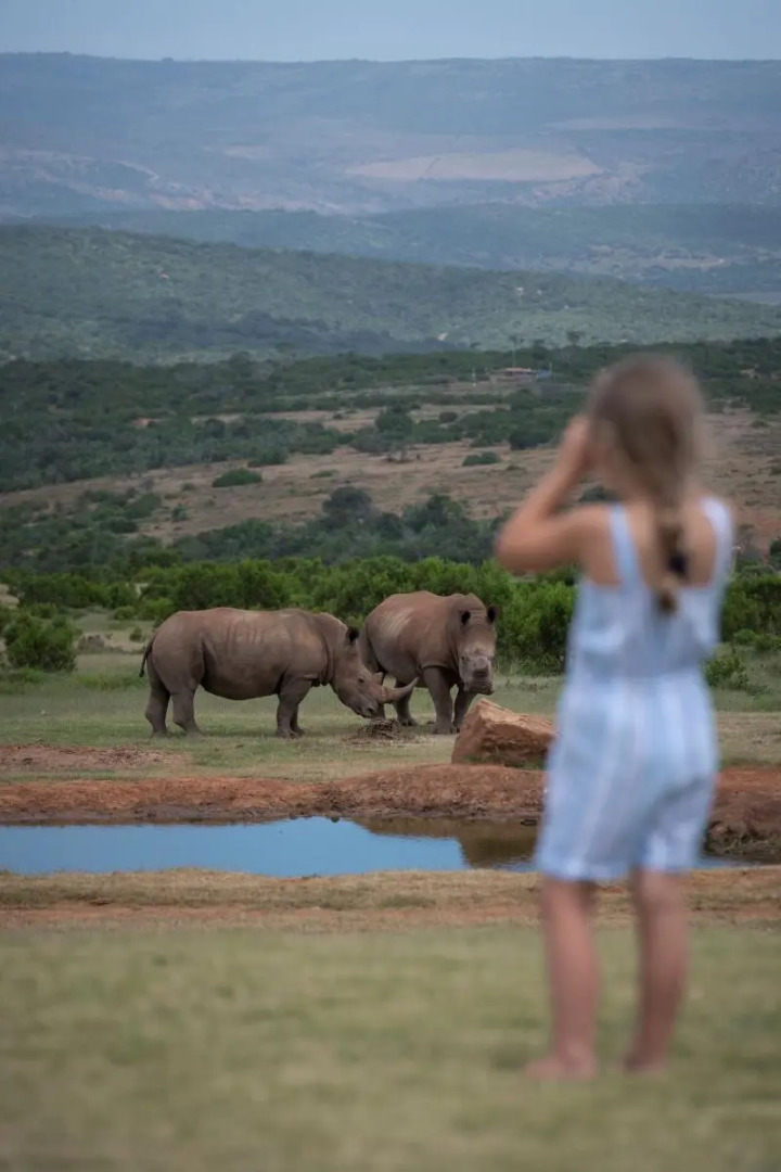Founders Lodge by Mantis