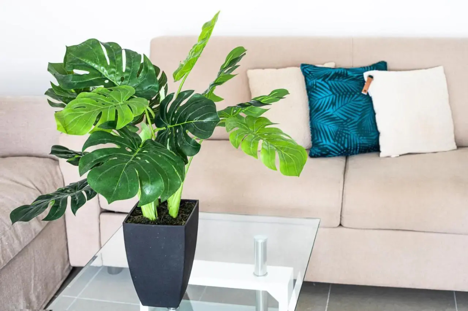 Blue Vista - 1 Bedroom Condo in Nettle Bay