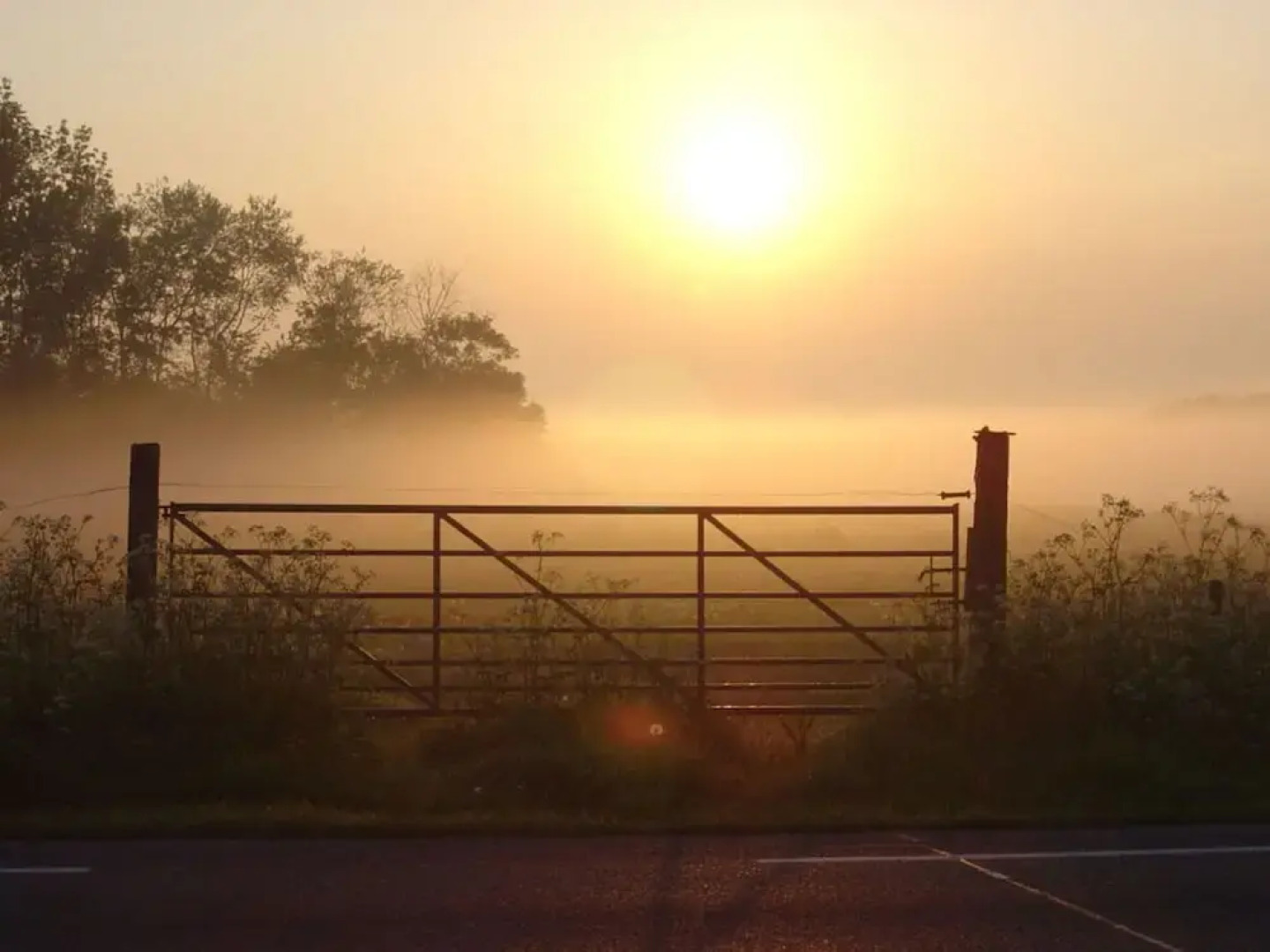Schelphoekje Modern Retreat