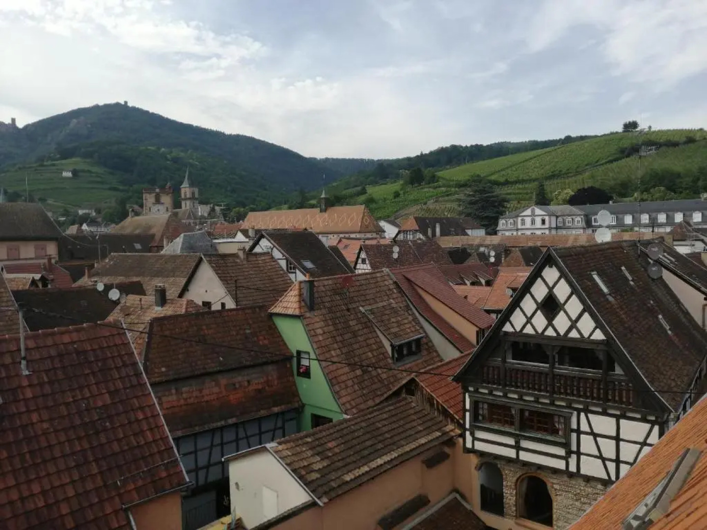 Gîte "Les papillons"