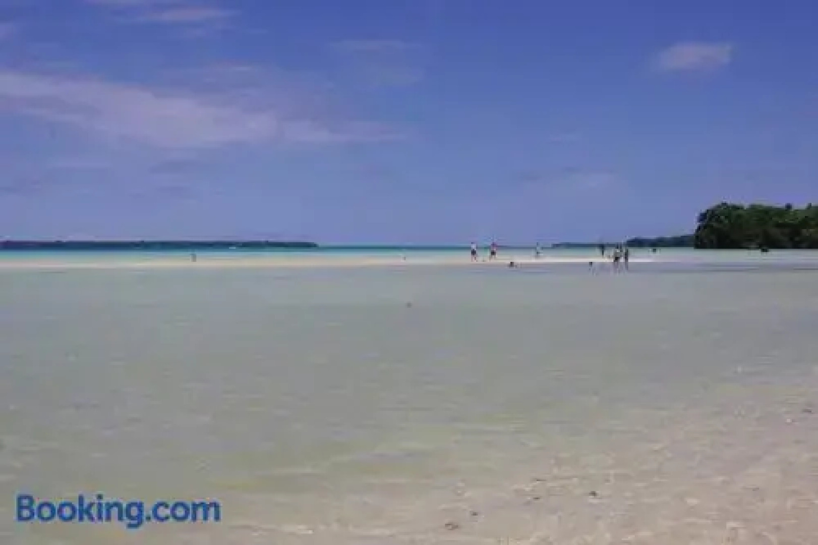 Tides Reach Beach House