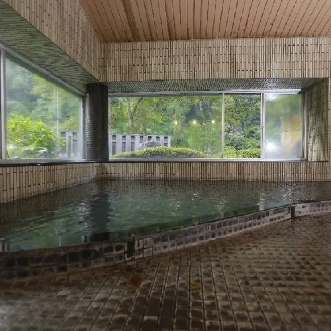 Mimata Onsen Kanagikanko Hotel