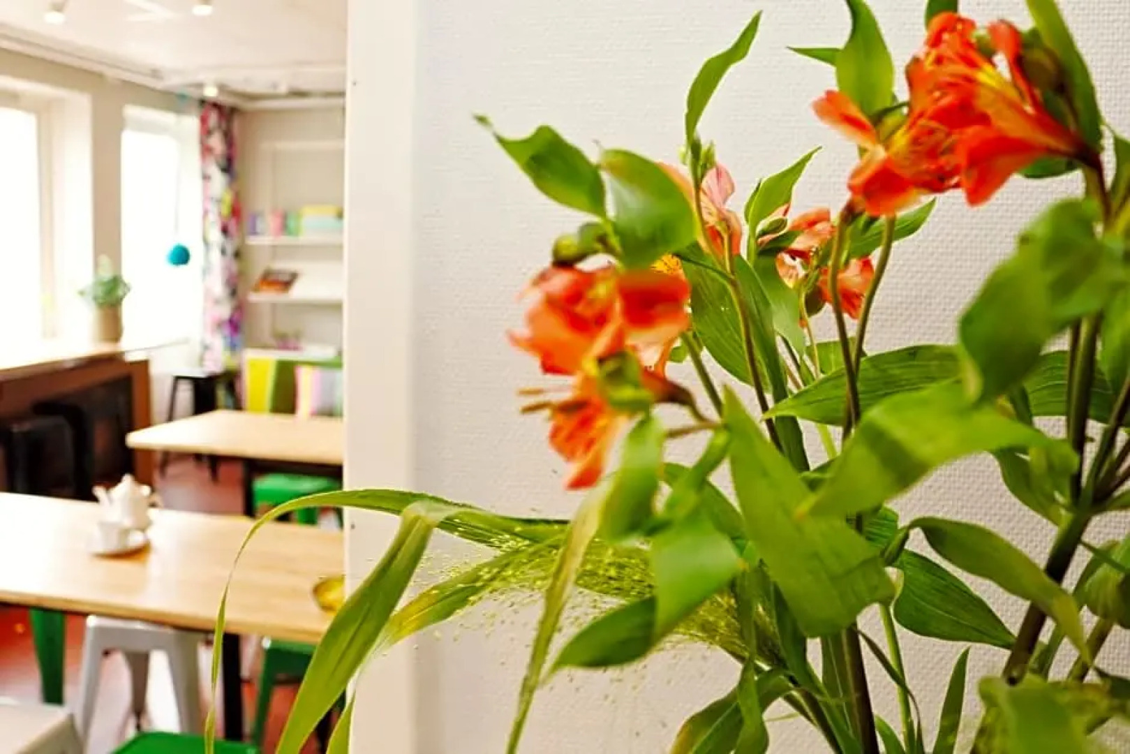 Hotell Kungsljus, budgethotell