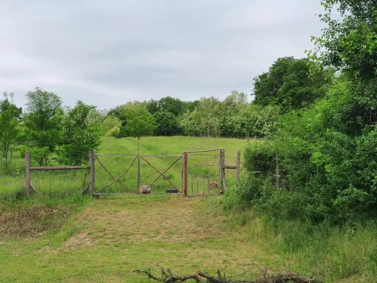 Koppany Pines Rewild Escapes - Hungarian Village Panzio