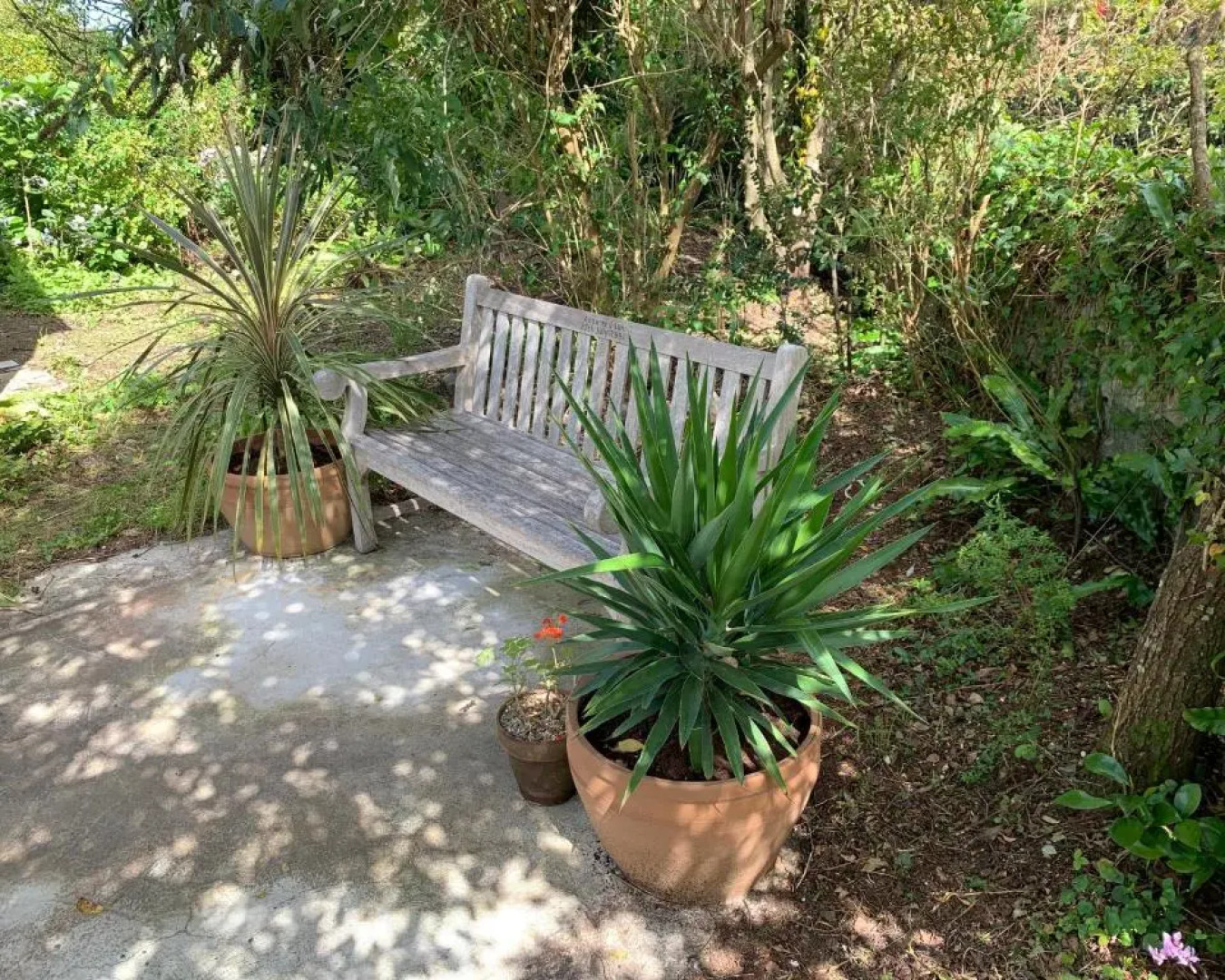 The Old Sunday School