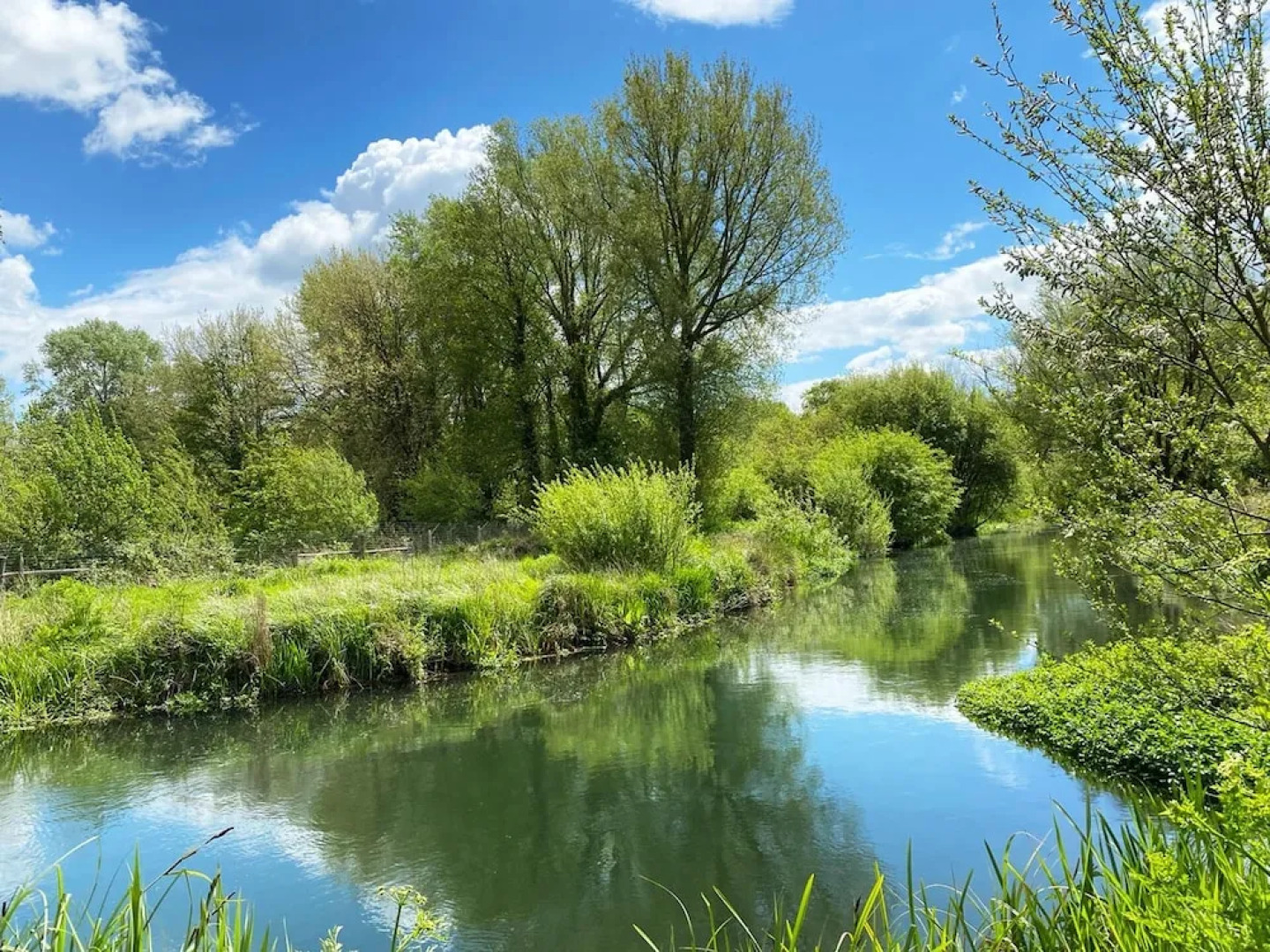 Charming 2-bed Apartment in Eastleigh