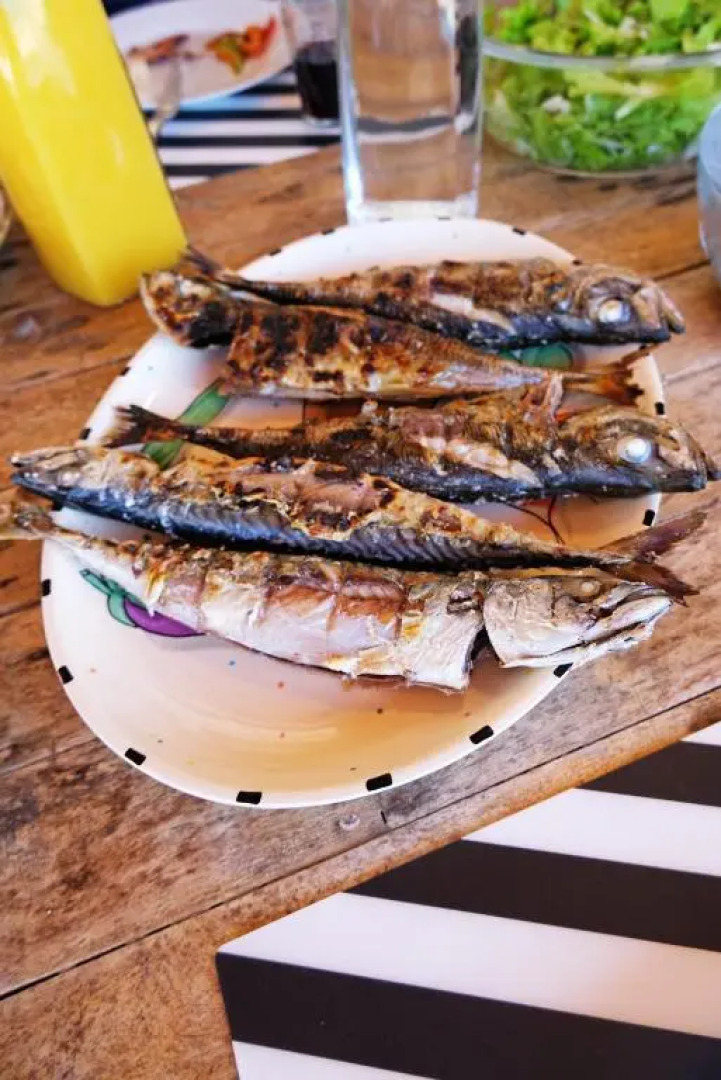 Freesurf Camp Hostel