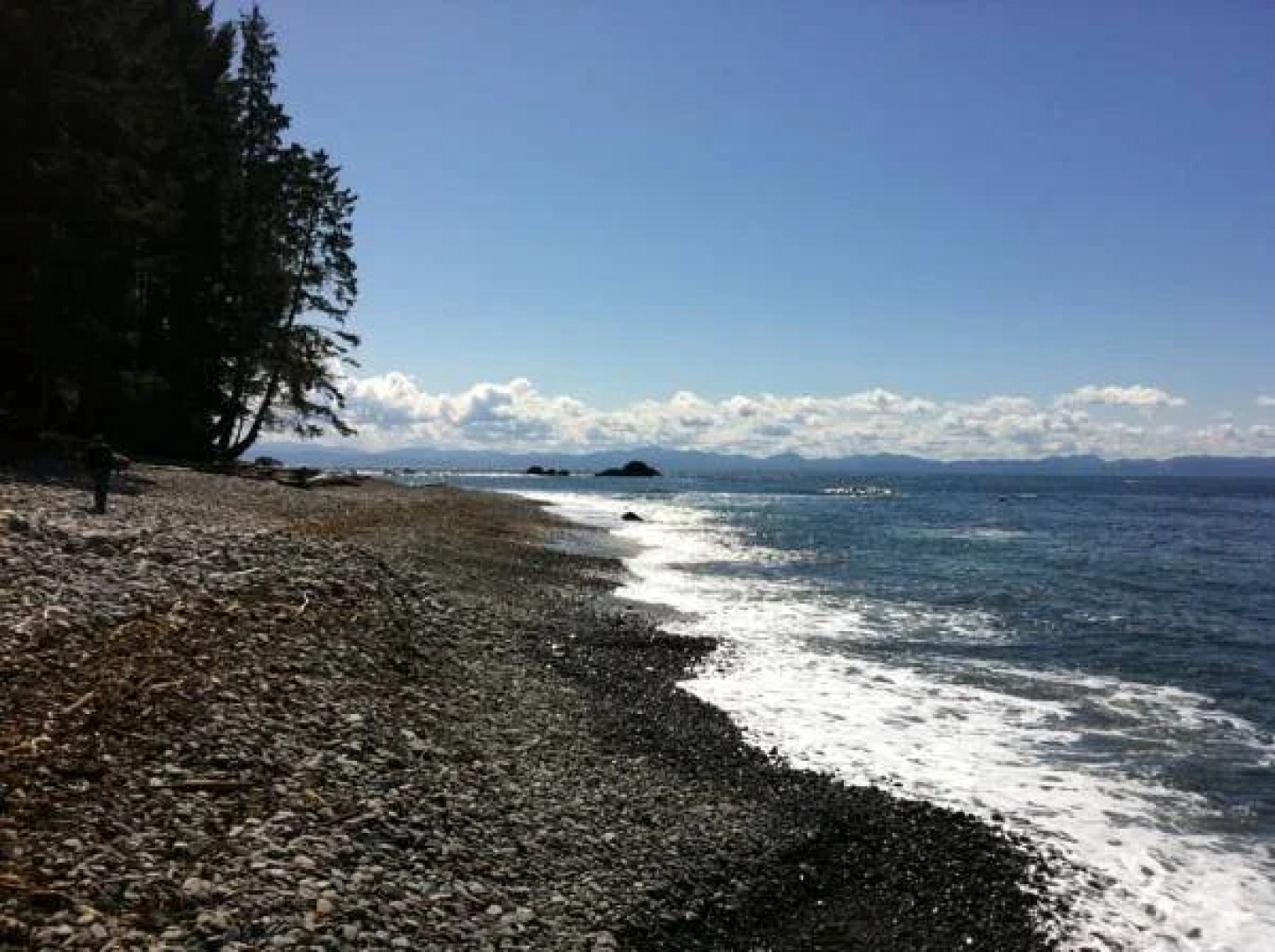 Handsome Dan's Port Renfrew