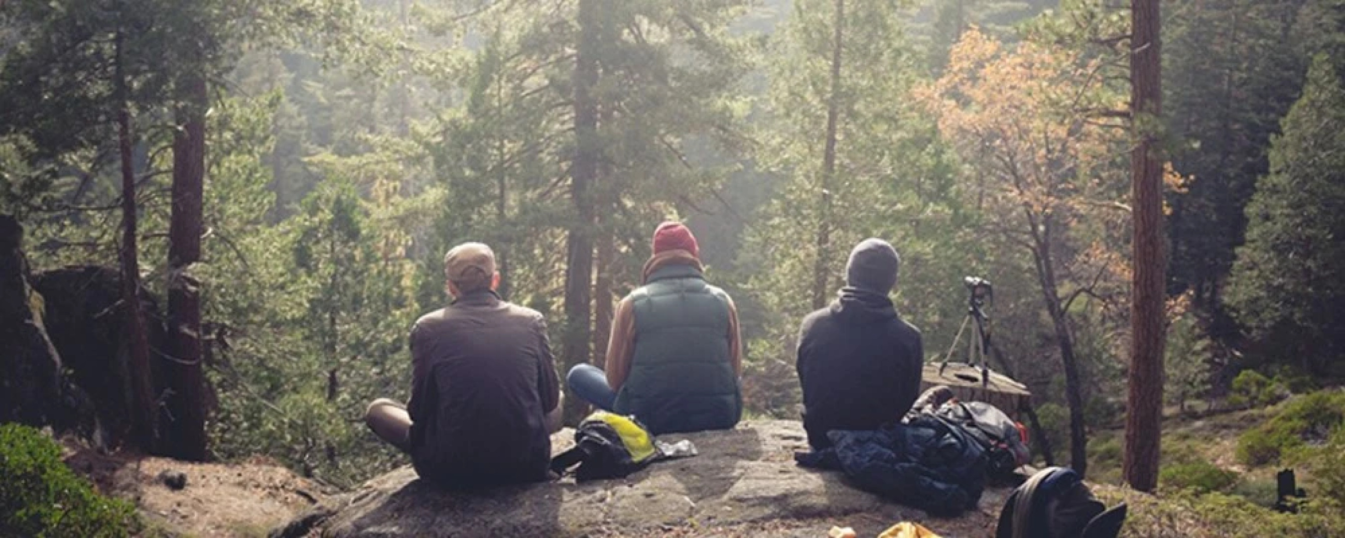 Chimo Refuges Treehouse Resort