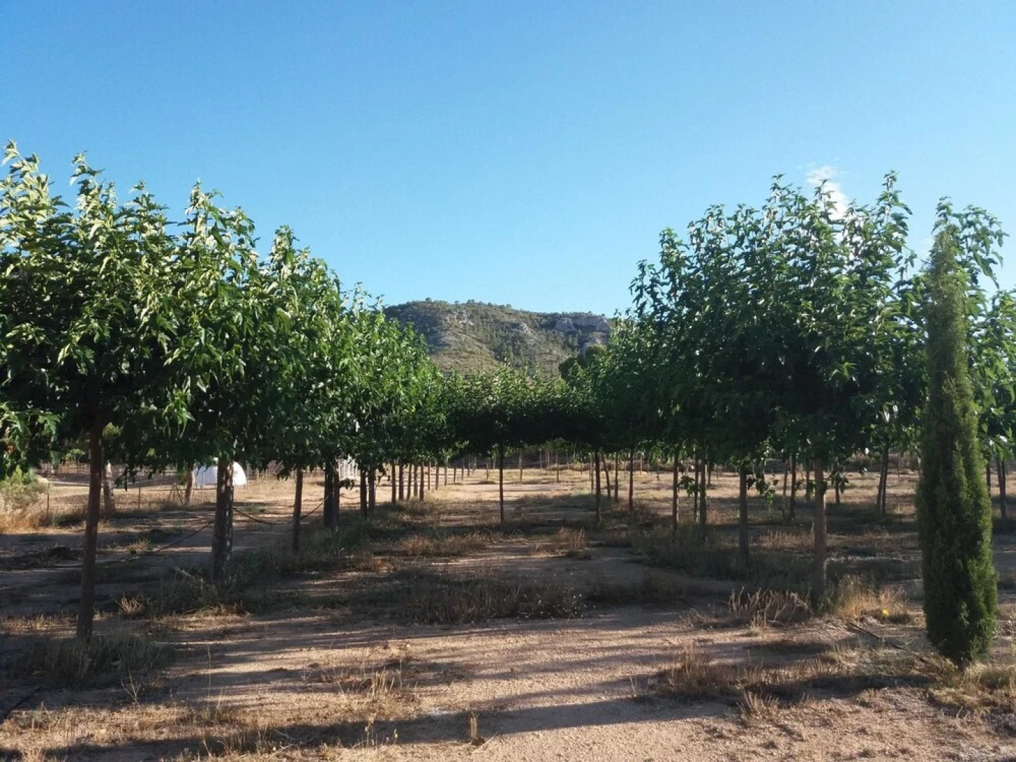 House With 2 Bedrooms in Las Virtudes, Villena, With Wonderful Mountai