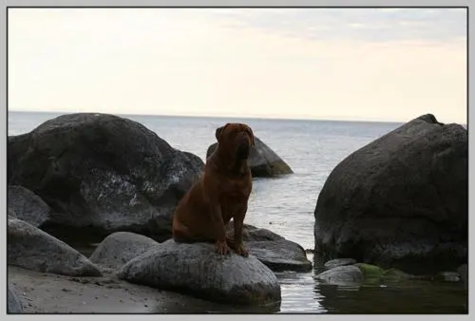 Ddr Bungalow Direkt Am Strand Auf Rügen