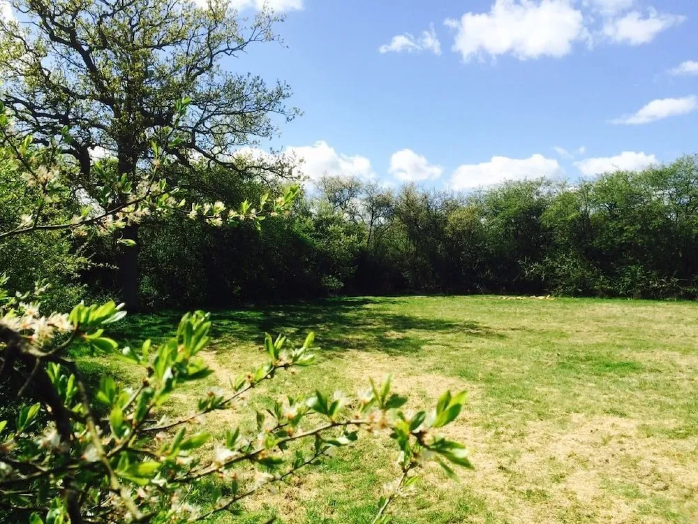 Longberry Farm Glamping