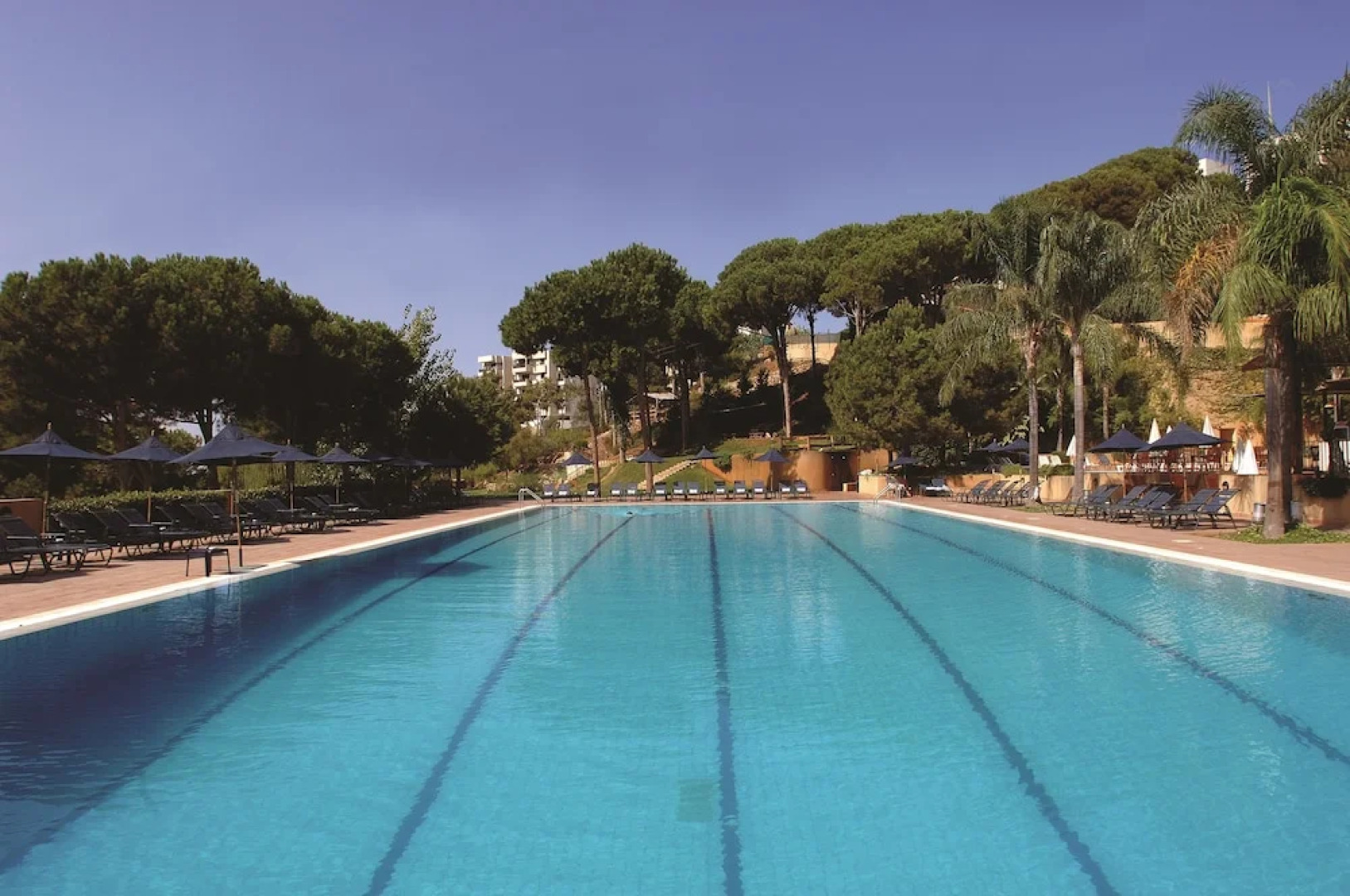 Country Lodge Hotel & Resort