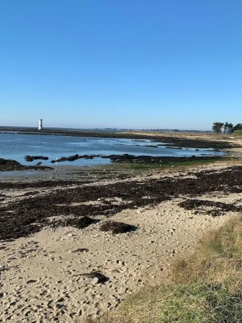 Sud Morbihan T3 et jardin 450m de la plage