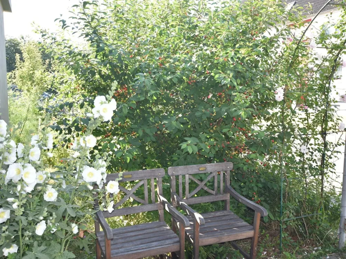 Spacious Bungalow in Blowatz Germany near Baltic Sea