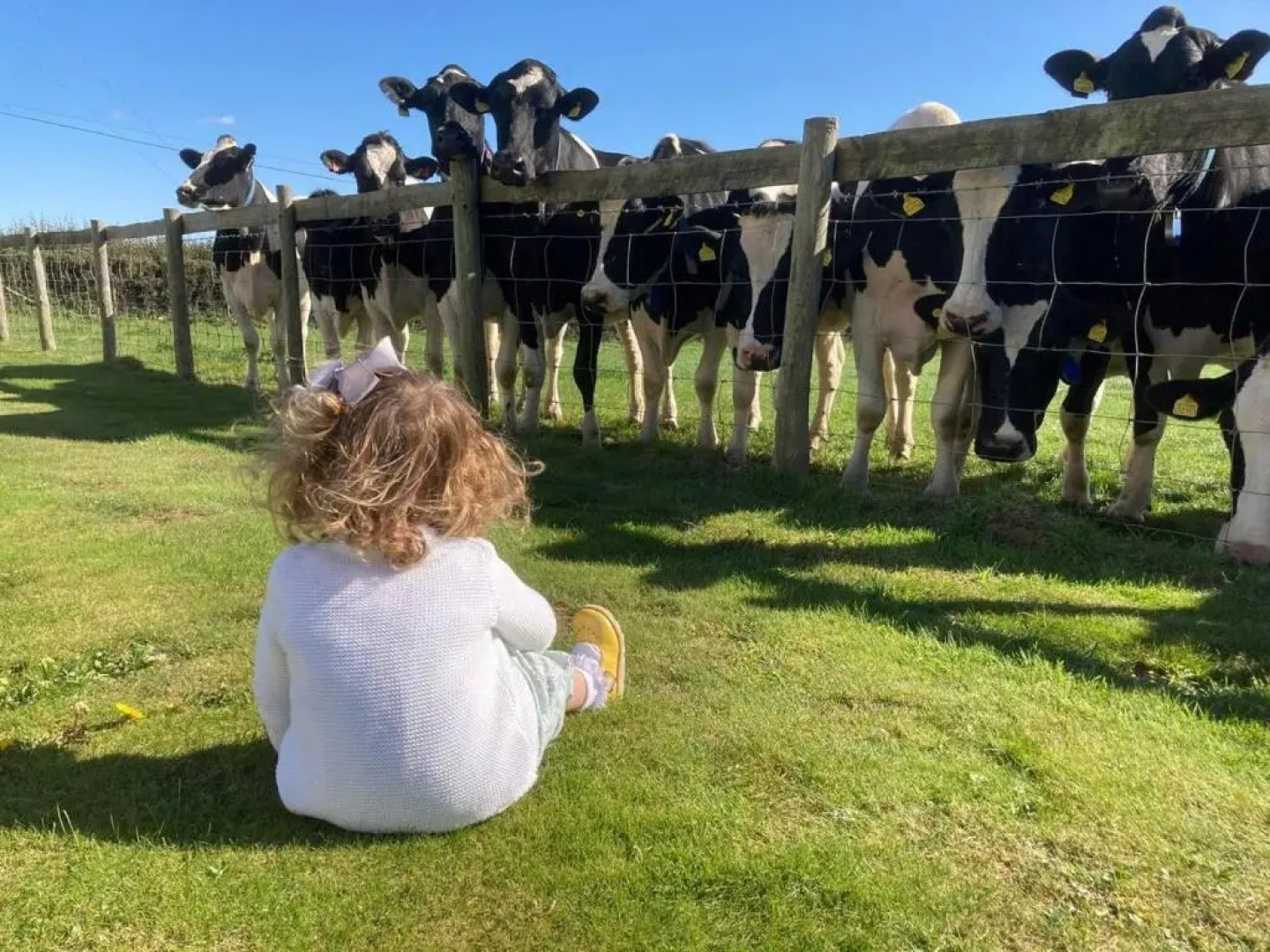 Vale of Glamorgan - Cottage - Sleeps 4 - Parking