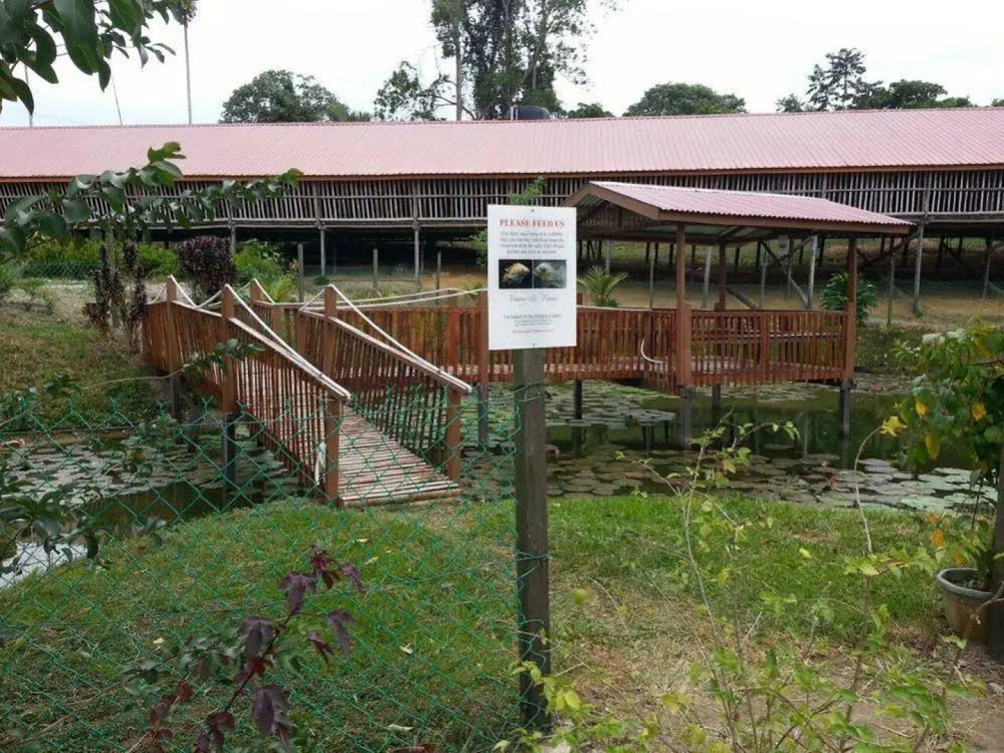Sabah Tea Garden-Longhouses