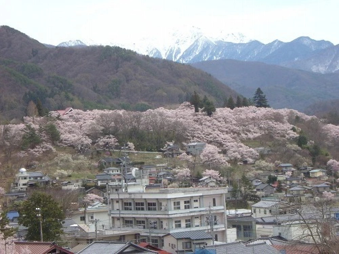 Shinshu Gibier Yakiniku no Yado Heike no Sato