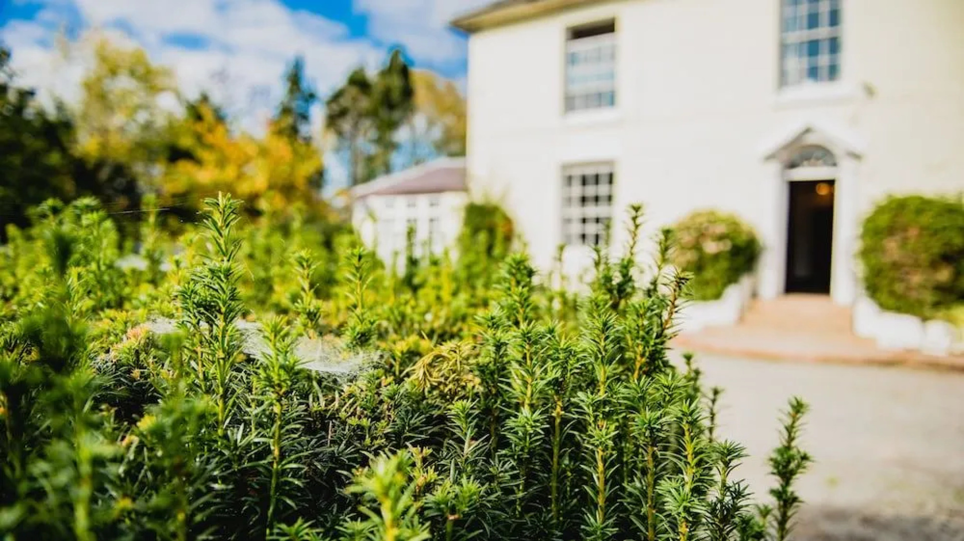 Penygelli Country House Apartments