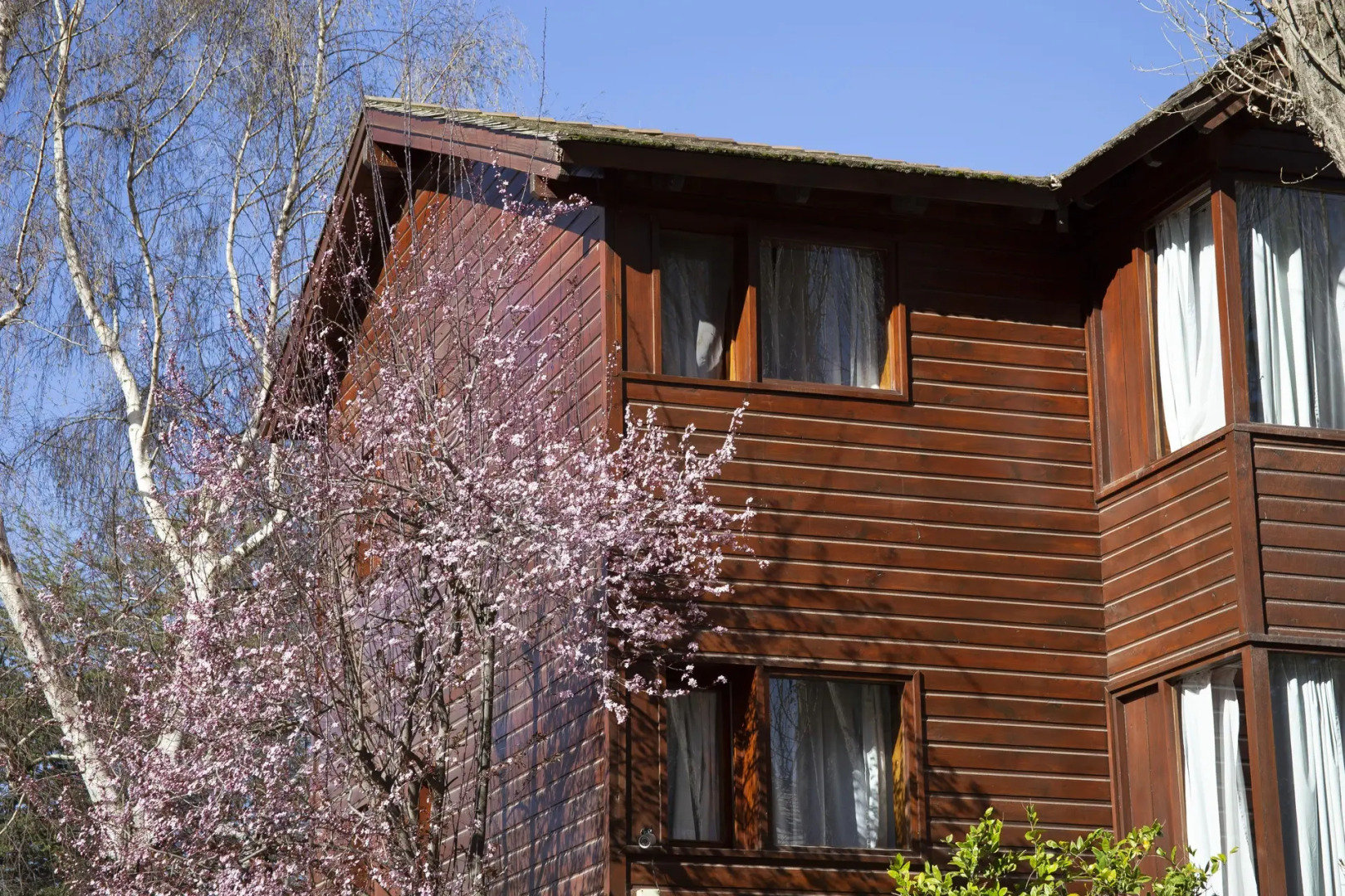 Rincon de los Andes Resort