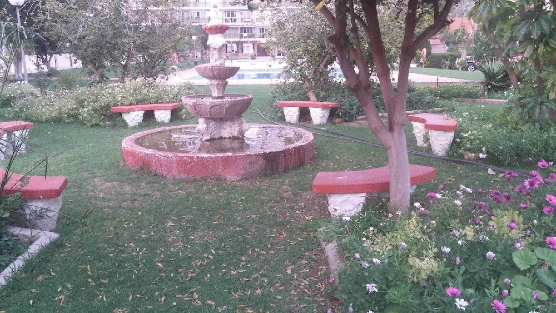 Studio Hannibal 1 Benidorm