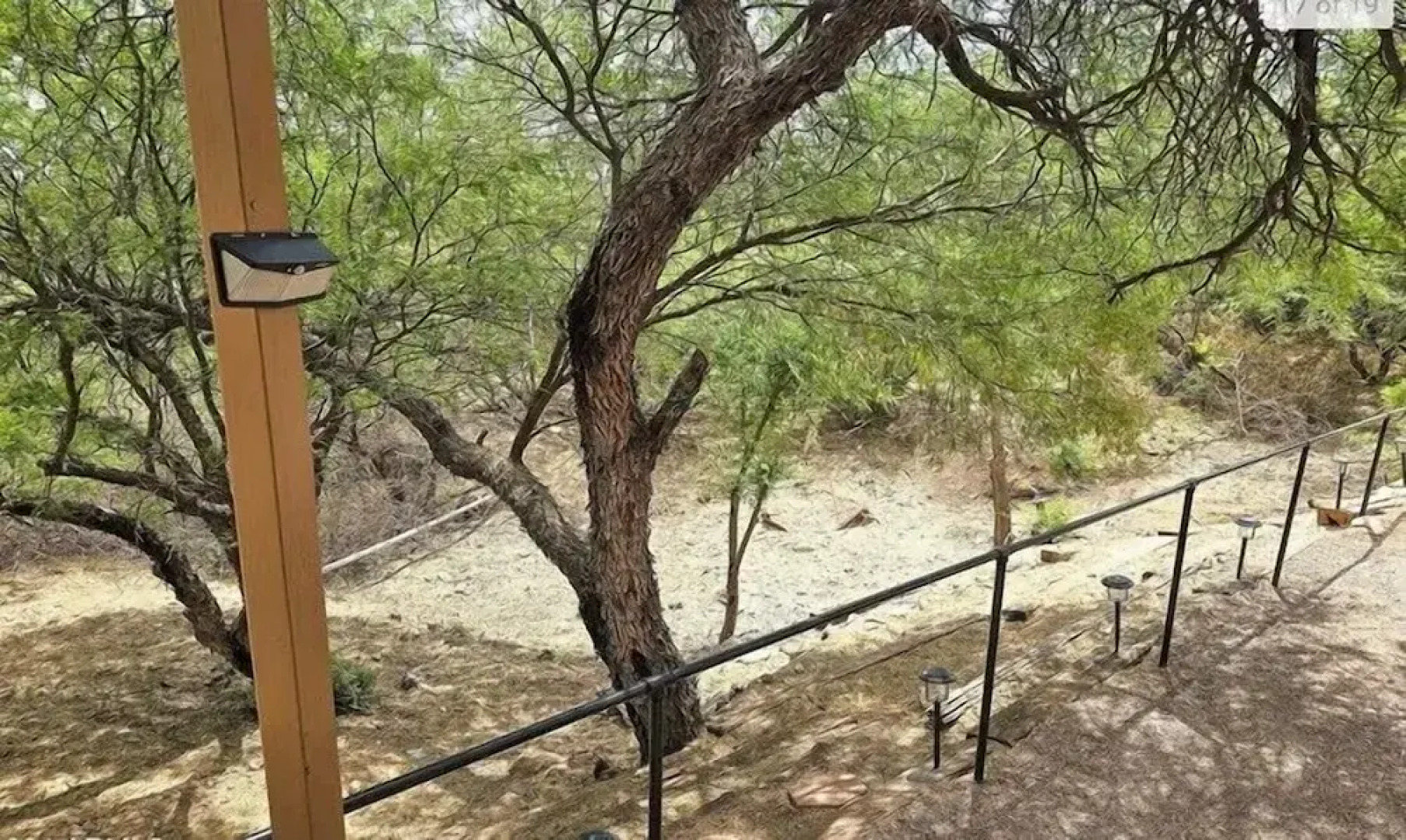 Vigilante Inn Immortal Camp