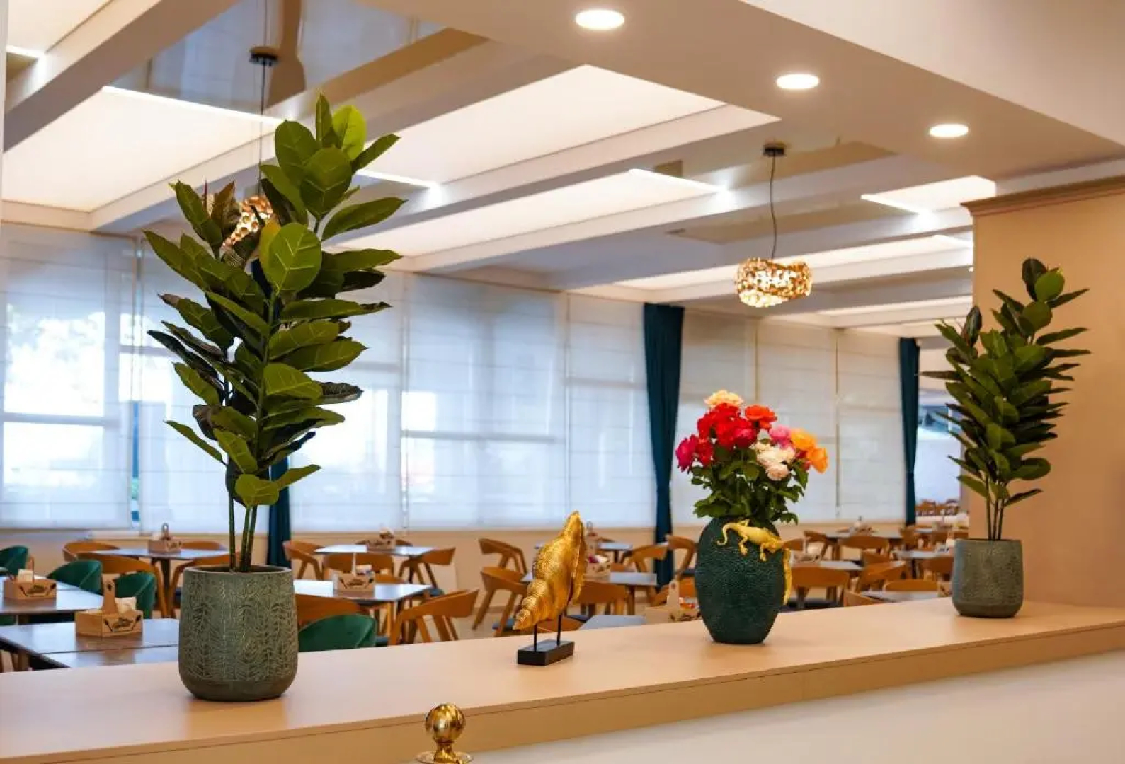 HOTEL OPAL Cap Aurora