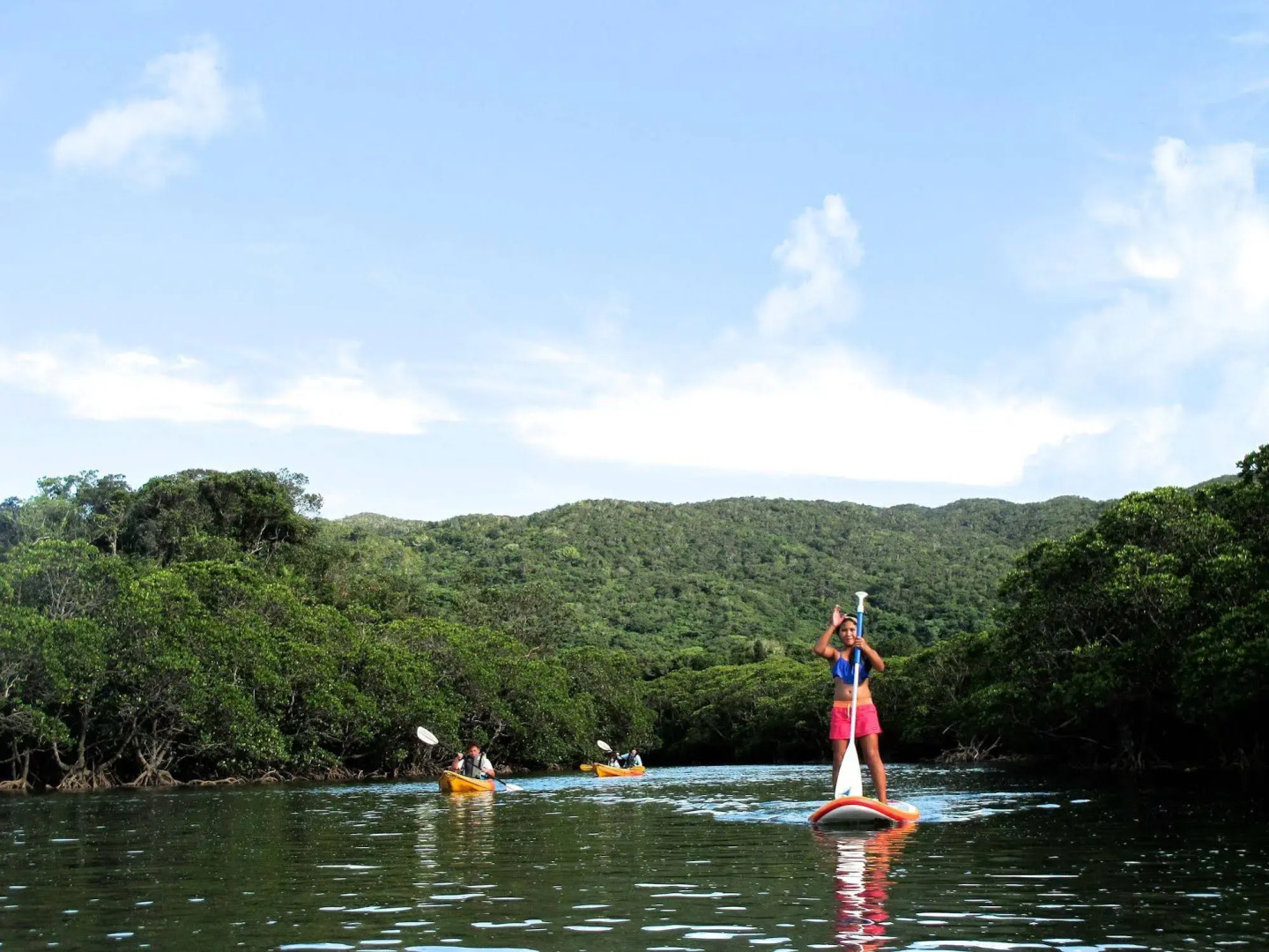 Guesthouse Ho Aloha - Hostel