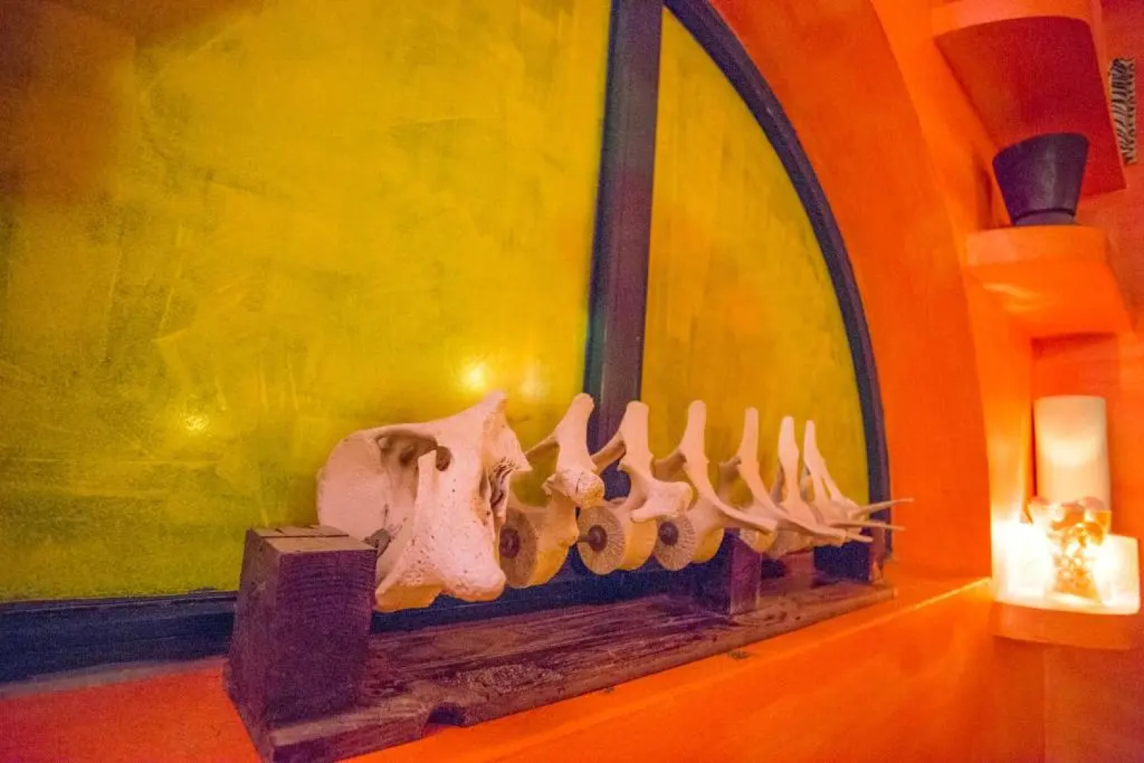 Surfactivity Guest House