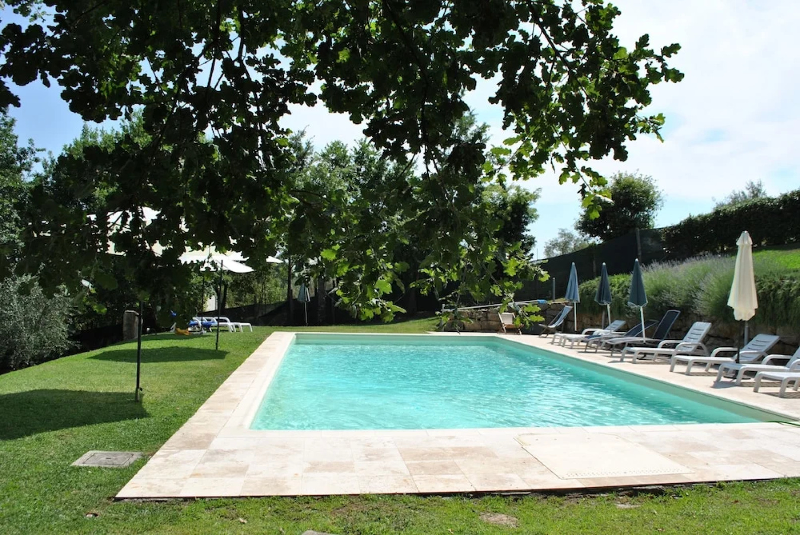 La finestra sul cortile