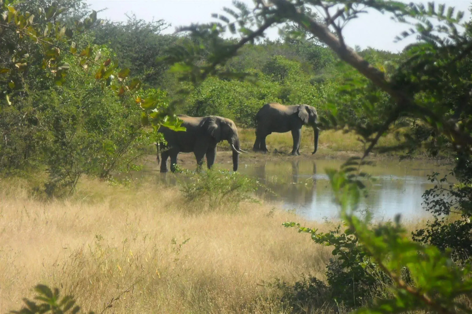 Silonque Bush Estate & Spa